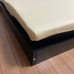 トゥルースリーパー・シングル（１週間使用)の画像