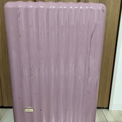 スーツケース　fancy wanderland ty2210