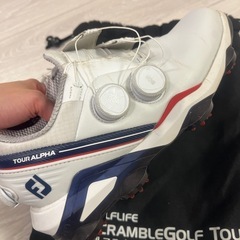 メンズ　ゴルフシューズ　footjoy 25cmの画像
