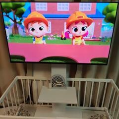 チューナーレステレビ 4K GoogleTV TL-5002QUHD 50型 