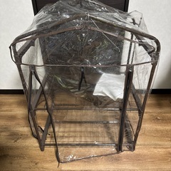 屋内用温室　　　　園芸用
