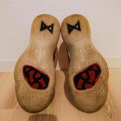 30cm　バッシュ　NIKE　PGポールジョージの画像
