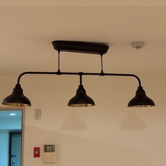 IKEA アグナリッド ペンダントランプ(電球3つ別売り)の画像