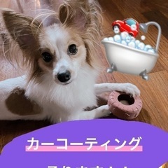 ★格安★愛車のガラスコーティング致します！！