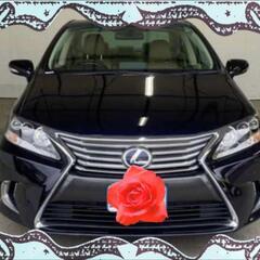 レクサスHS250💕🉐ハイブリッド🉐💕