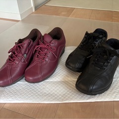 ミズノ　レディース　スニーカーの画像