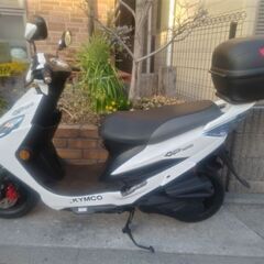 キムコ　CP125CC　（個人出品）の画像