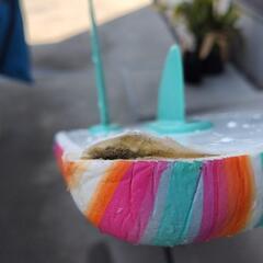 コストコ、ソフトボードの画像