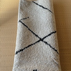 【0円】ニトリ　埃の取りやすいラグマット