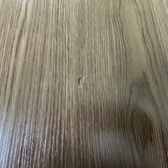 テーブルの画像