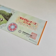 レア　雪印　ギフト券　6Pチーズ　コレクション　レトロ　希少　昭和　かわいいの画像