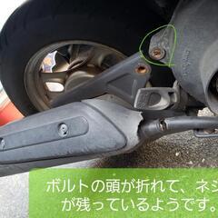 引渡し者決定　原付　ホンダ　トゥデイの画像