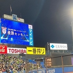 野球の平日練習会2025年 - 松江市