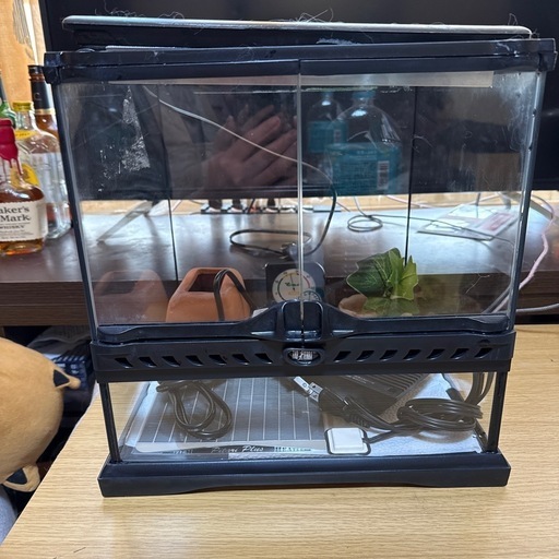 グラステラリウム 3030新品未使用飼育ケージセット美品
