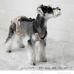 ペット用オムツカバー、サスペンダー　☆NACOLE dog  ナコルの画像