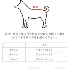 ペット用オムツカバー、サスペンダー　☆NACOLE dog  ナコルの画像