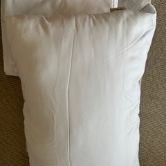 整眠ラボほぼ新品まくら 白カバー2枚つき！