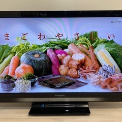 Panasonic BD DVDプレーヤー付き液晶テレビの画像