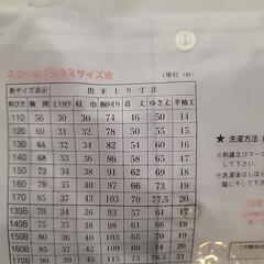 ブラウス 半袖の画像