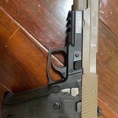 SIG  P226