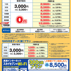 LINE通話だけではやはり不便ではないですか？
