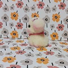 ピンクに染められた　オムツカットの小さなマルチーズちゃん　羊毛の画像