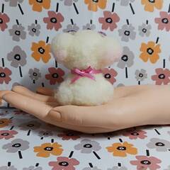 ピンクに染められた　オムツカットの小さなマルチーズちゃん　羊毛の画像