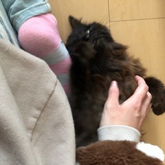 家族が見つかりました✨ − 宮城県