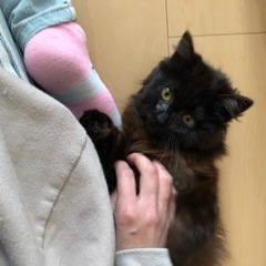 家族が見つかりました✨ - 亘理郡