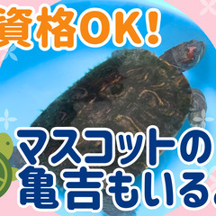 ゼロからプロへ！働き続けたくなる職場！やりがいをしっかりかんじら...