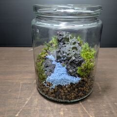 みどりのつどい（苔テラリウムワークショップ） - ワークショップ