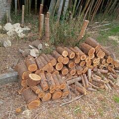 薪(20-30cm)の画像