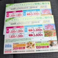 レオマワールド　優待券2枚