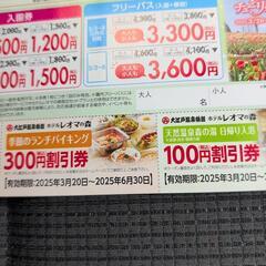レオマワールド　優待券2枚の画像