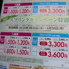 レオマワールド　優待券2枚の画像