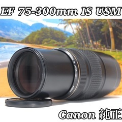 美品 動作良好 Canon EF 75-300mm IS USM...