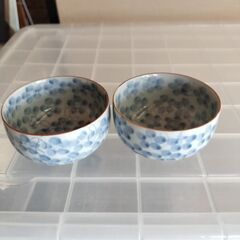 湯呑み10個セット