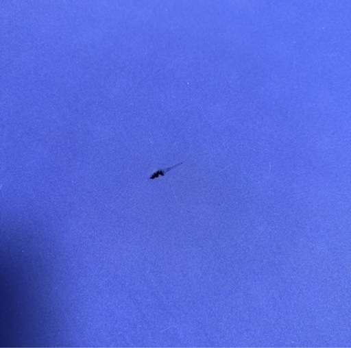【早い者勝ち】にしかわ　AiR  　1番早く取りに来れる方に譲ります。