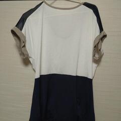 レディース半袖の画像