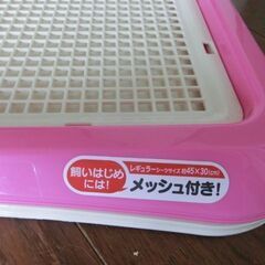 ペットトレーの画像