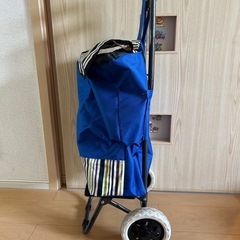 折りたたみカートの画像