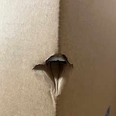 エアドッグAirdog X3D新品未使用の画像