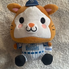 ベイスターズ好きな方😊