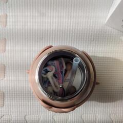 【新品】定価5500円 ステンレスボトル　550ml　の画像
