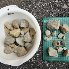 モンモリロナイト 【小中サイズ1kg】