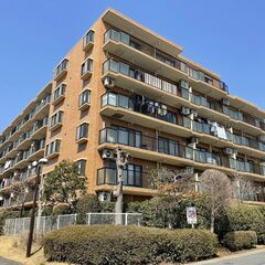 中古マンション　ダイアパレス自治医大2番館(2DK) 950万円