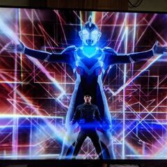 Panasonic VIERA 55インチ 有機ELテレビ