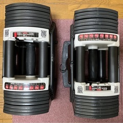 可変式ダンベル　40kgの画像