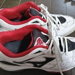 ミズノの運動靴、size25センチ