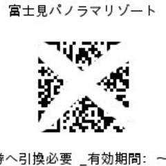 富士見パノラマリゾート　　当日リフト券引換券